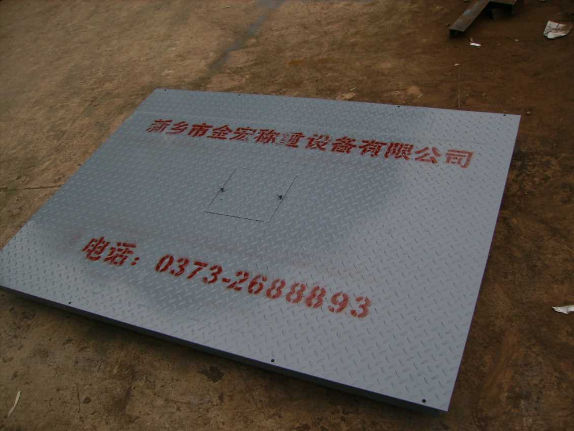 安阳TCS-3000型平台秤