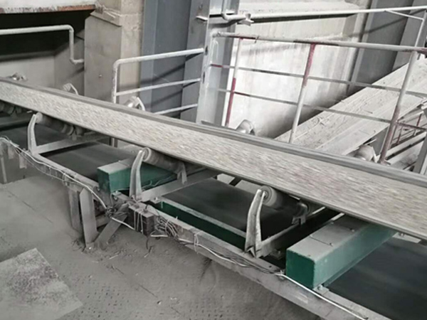 安阳电子计量皮带秤