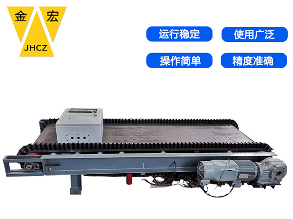 安阳码头专用电子皮带秤